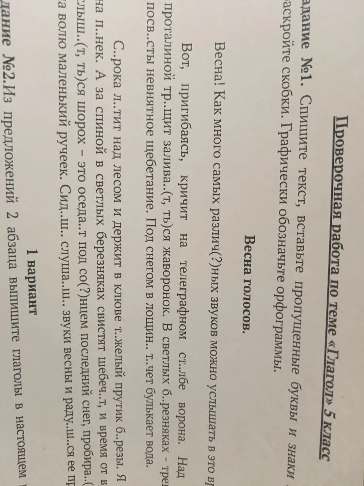 Спишите текст, вставьте пропущенные буквы и знаки препинания. Графически обозначьте орфограммы.