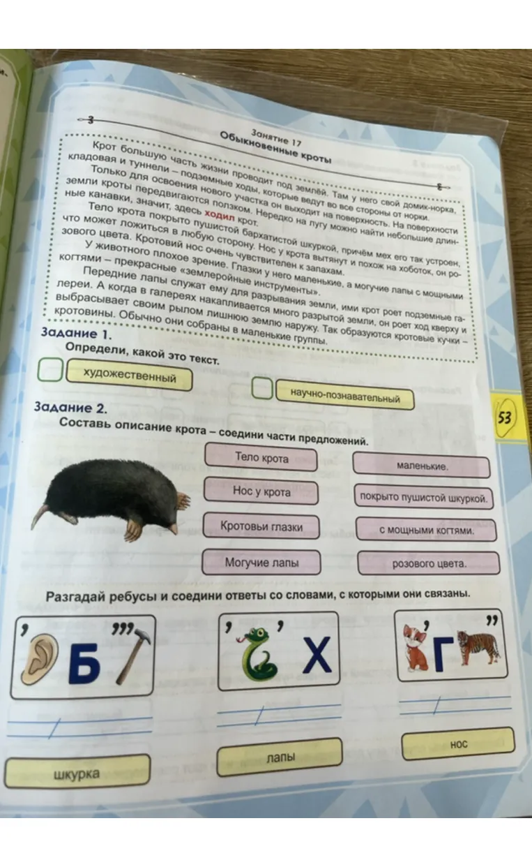 Определи, какой это текст. Составь описание крота – соедини части предложений. Разгадай ребусы и соедини ответы со словами, с которыми они связаны.