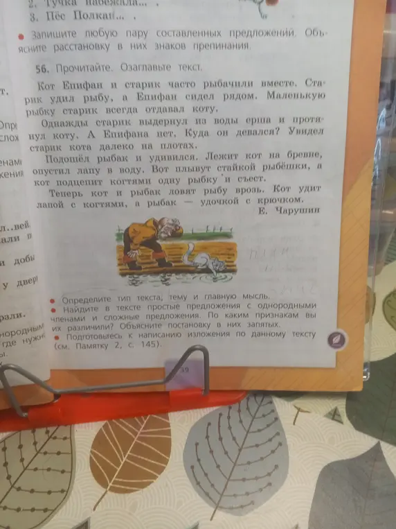 Определи тип текста, тему и главную мысль в тексте про кота Епифана и рыбака