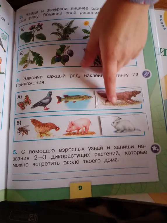 Выполни задания на картинке: найди лишнее растение в ряду, закончи каждый ряд, наклеив картинку из Приложения, узнай и запиши названия дикорастущих растений около дома.