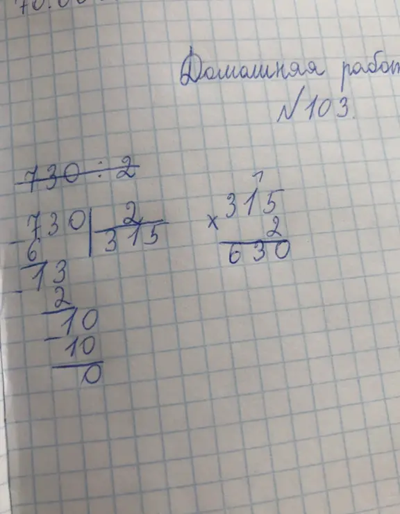 Помоги мне разделить столбиком 730 на 2