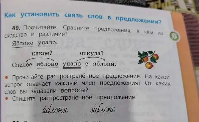 Прочитай и сравни предложения: в чём их сходство и различие?