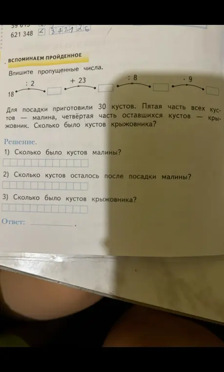 Помоги мне решить задачу про пропущенные числа и кусты малины и крыжовника