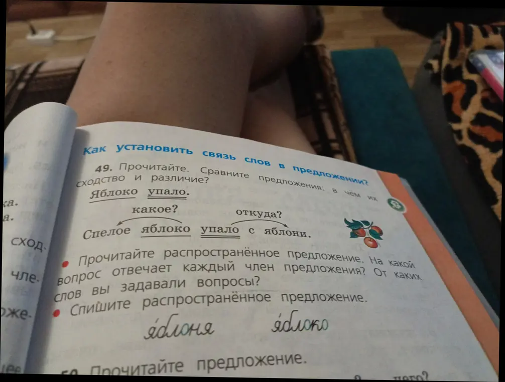 Объясни, как списать распространенное предложение из упражнения 49