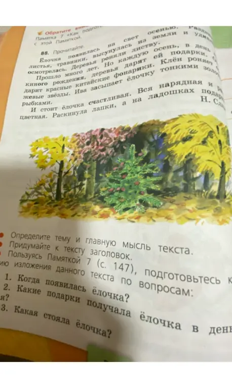 Определи тему и главную мысль текста про ёлочку