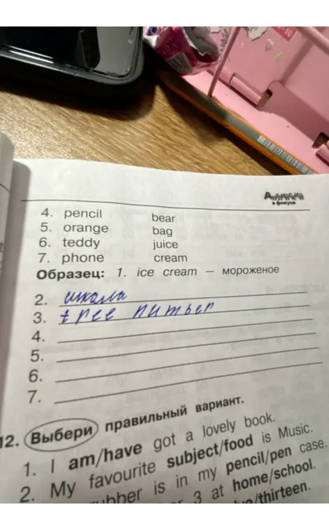 Выбери правильный вариант в упражнении 12 под номером 1: I am/have got a lovely book