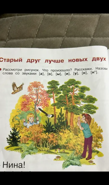 Рассмотри рисунок, расскажи, что произошло и назови слова со звуками [а], [о], [ы], [и], [у], [н], [н']