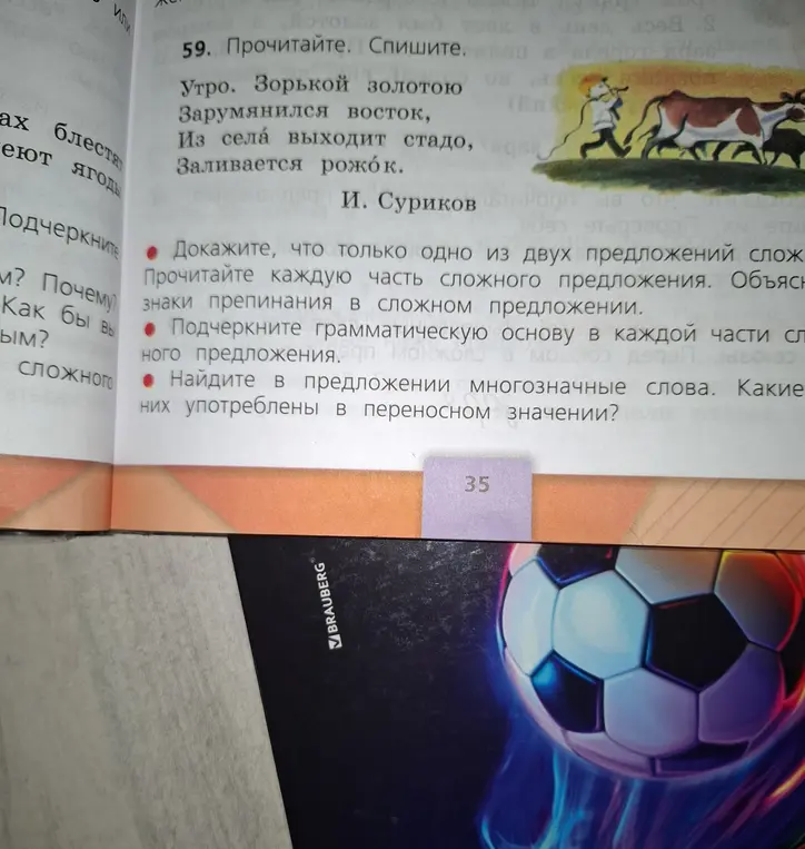 Объясни, как доказать, что только одно из двух предложений сложное, как прочитать каждую часть сложного предложения, как объяснить знаки препинания, как подчеркнуть грамматическую основу и как найти многозначные слова в предложении из упражнения 59