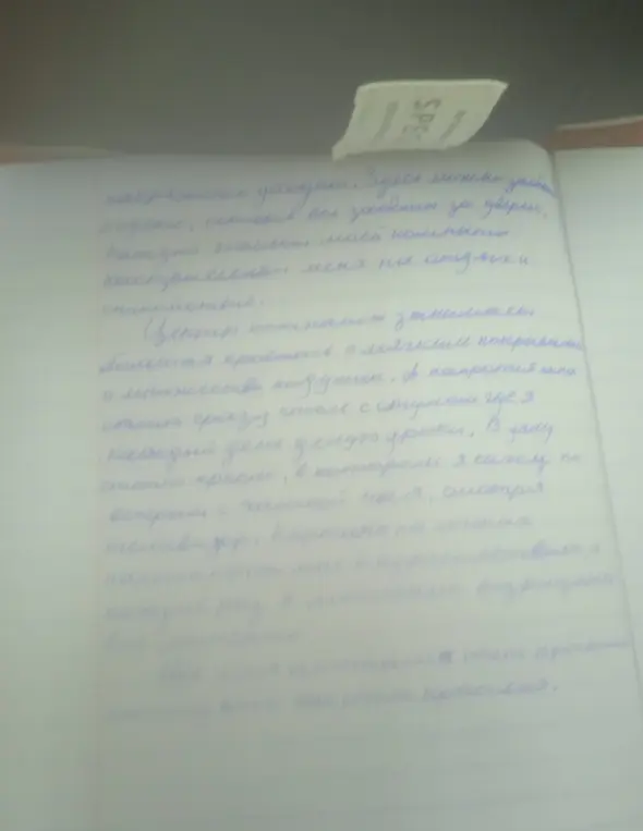 Укажи, где есть ошибки в тексте