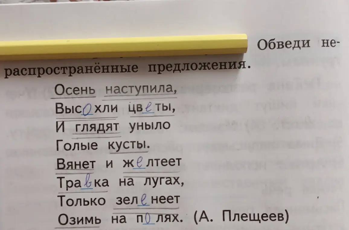 Ты просишь обвести нераспространенные предложения.