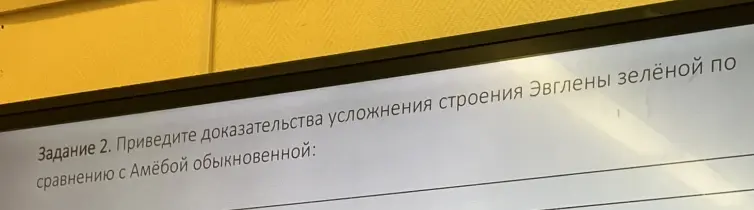 Приведи доказательства усложнения строения Эвглены зелёной по сравнению с Амёбой обыкновенной