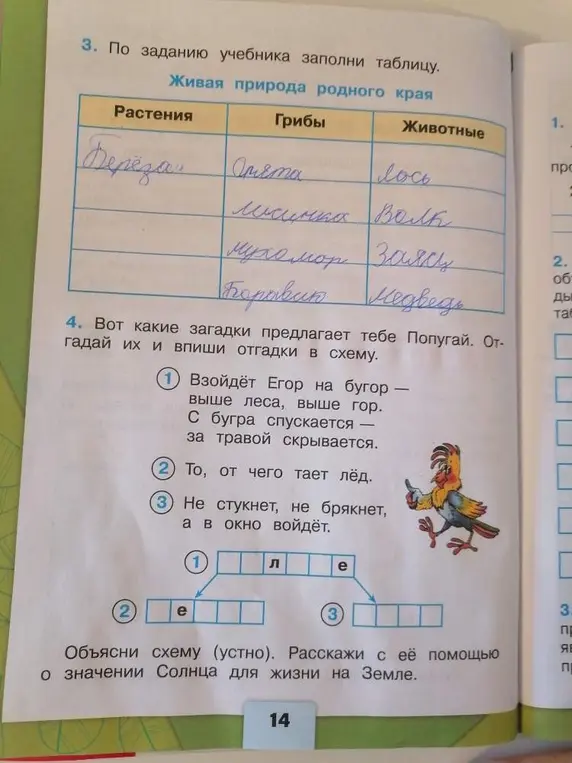 Отгадай загадки и впиши отгадки в схему