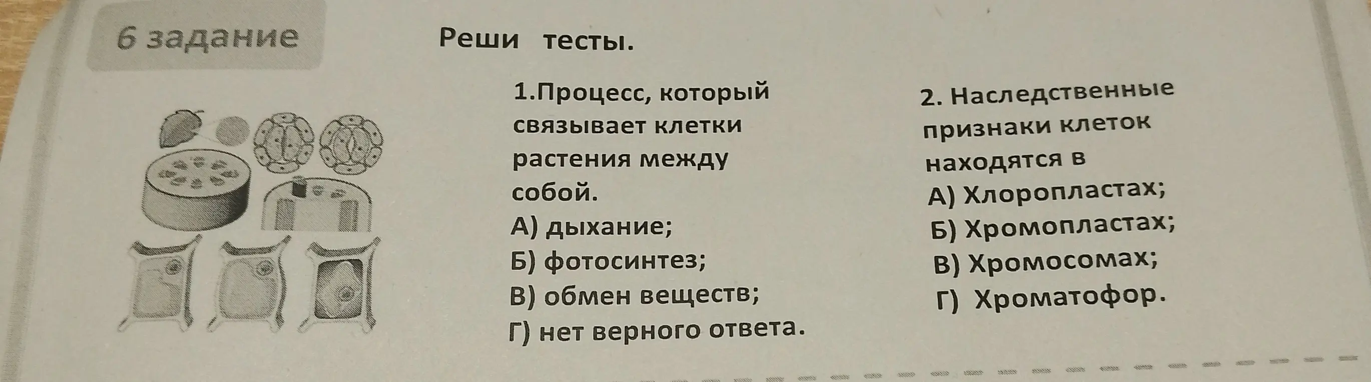 Реши тесты под номерами 1 и 2