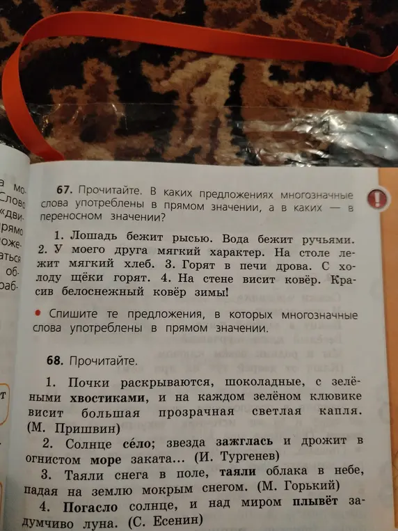 Определи, в каких предложениях многозначные слова употреблены в прямом значении, а в каких — в переносном (задание 67, 1). Спиши предложения, в которых многозначные слова употреблены в прямом значении. Определи, в каких предложениях слова употреблены в переносном значении (задание 68, 1).