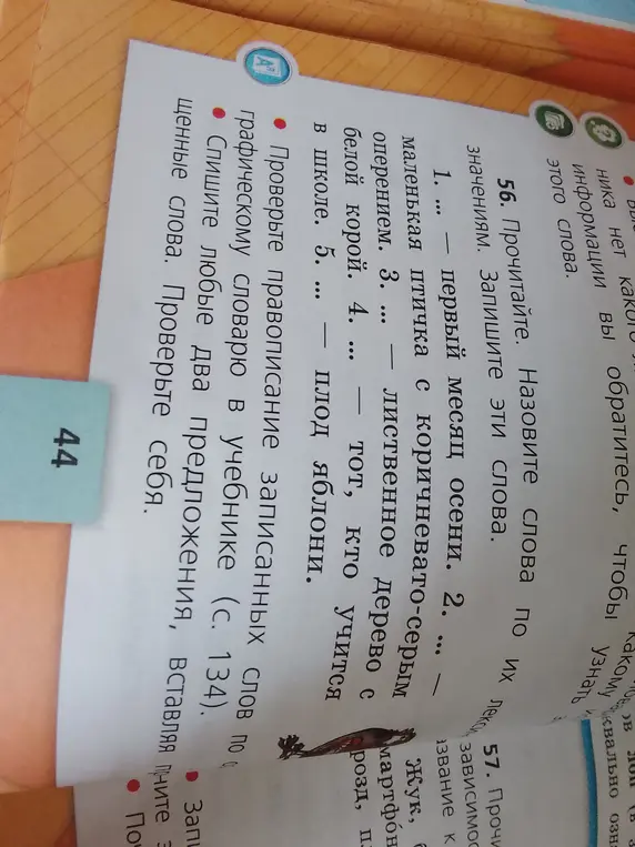 Назови слова по их лексическим значениям в упражнении 56.