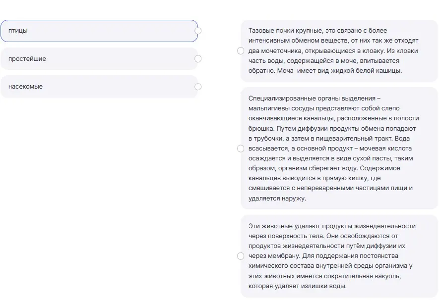 Какие органы выделения у птиц, насекомых и простейших?