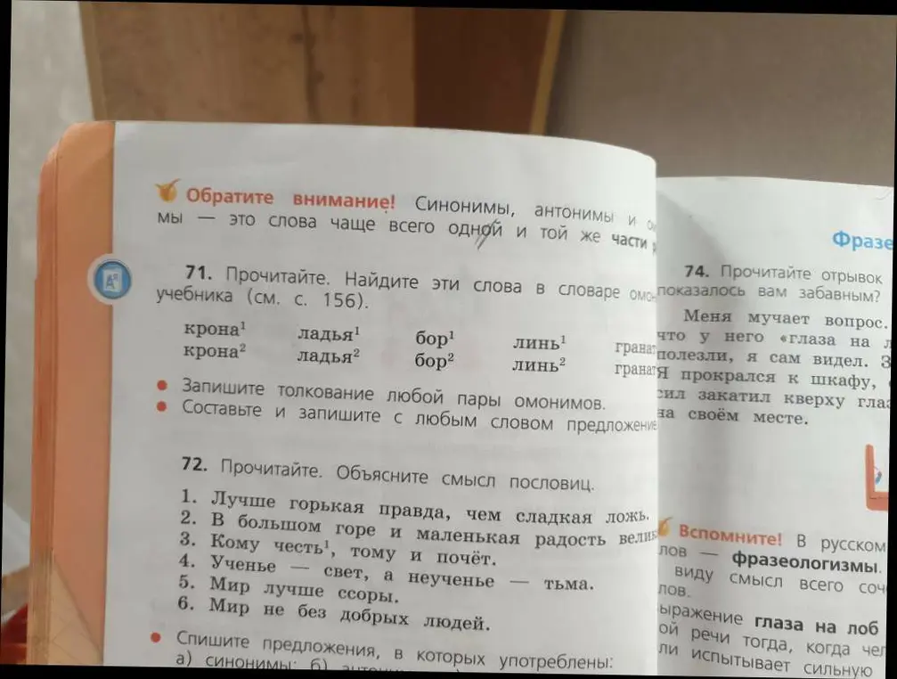 Найди слова в словаре омонимов учебника, запиши толкование любой пары омонимов и составь с любым словом предложение. Объясни смысл пословиц.