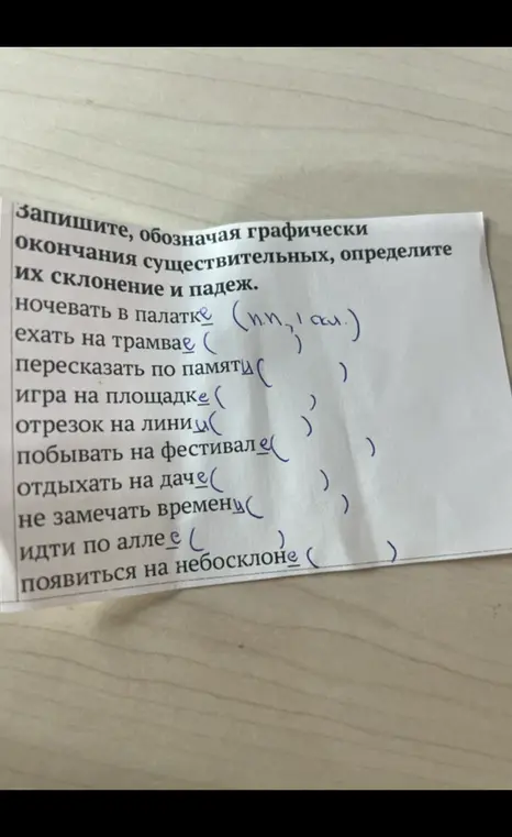 Запиши, обозначая графически окончания существительных, определи их склонение и падеж в упражнении «ехать на трамвае»