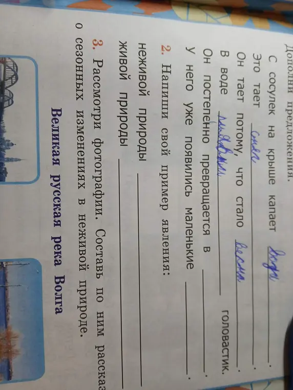 Напиши примеры явлений неживой и живой природы