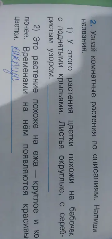 Узнай комнатные растения по описаниям и напиши названия.