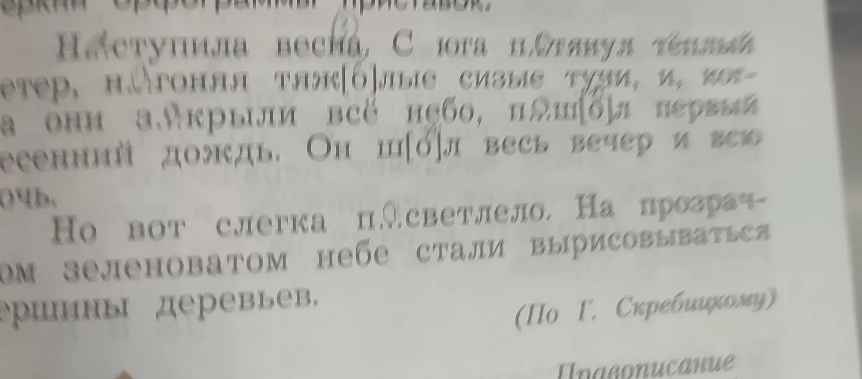 Какие буквы нужно вставить в пропущенные места в тексте?