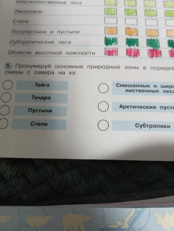 Пронумеруй основные природные зоны в порядке смены с севера на юг.