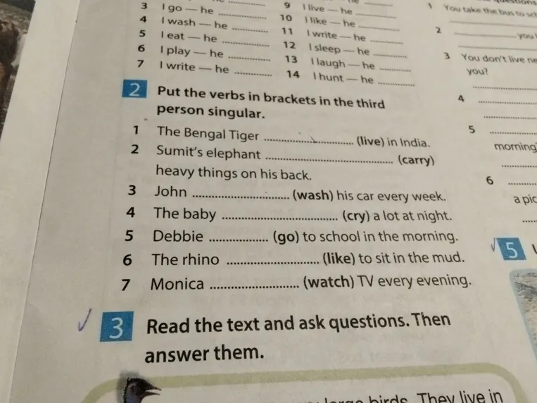 Put the verbs in brackets in the third person singular.