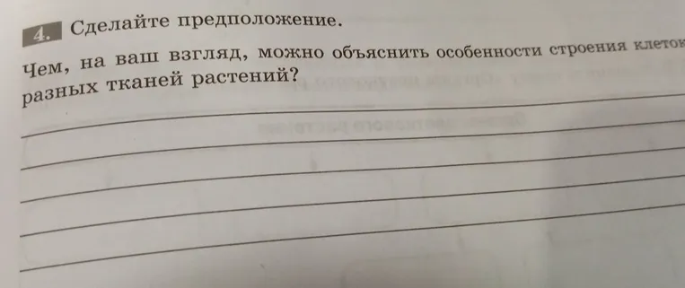 Сделайте предположение. Чем, на ваш взгляд, можно объяснить особенности строения клеток разных тканей растений?