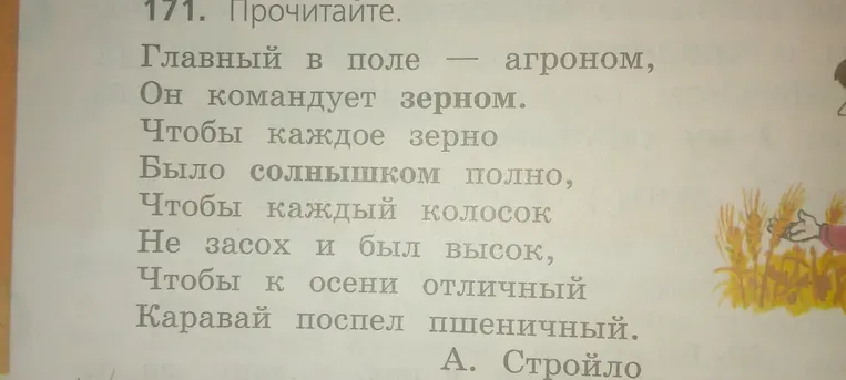 Прочитайте и найдите существительные, определите их число (единственное или множественное), падеж и род.