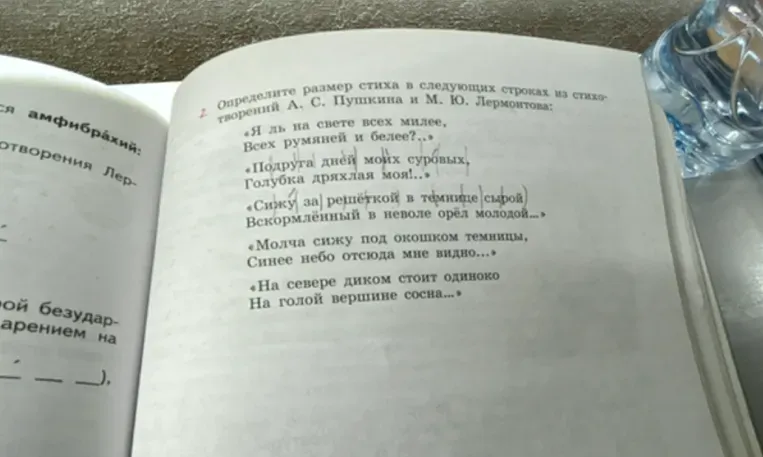 Запомните названия стихотворных размеров. Рассмотрите таблицу. Назовите авторов приведённых строк.