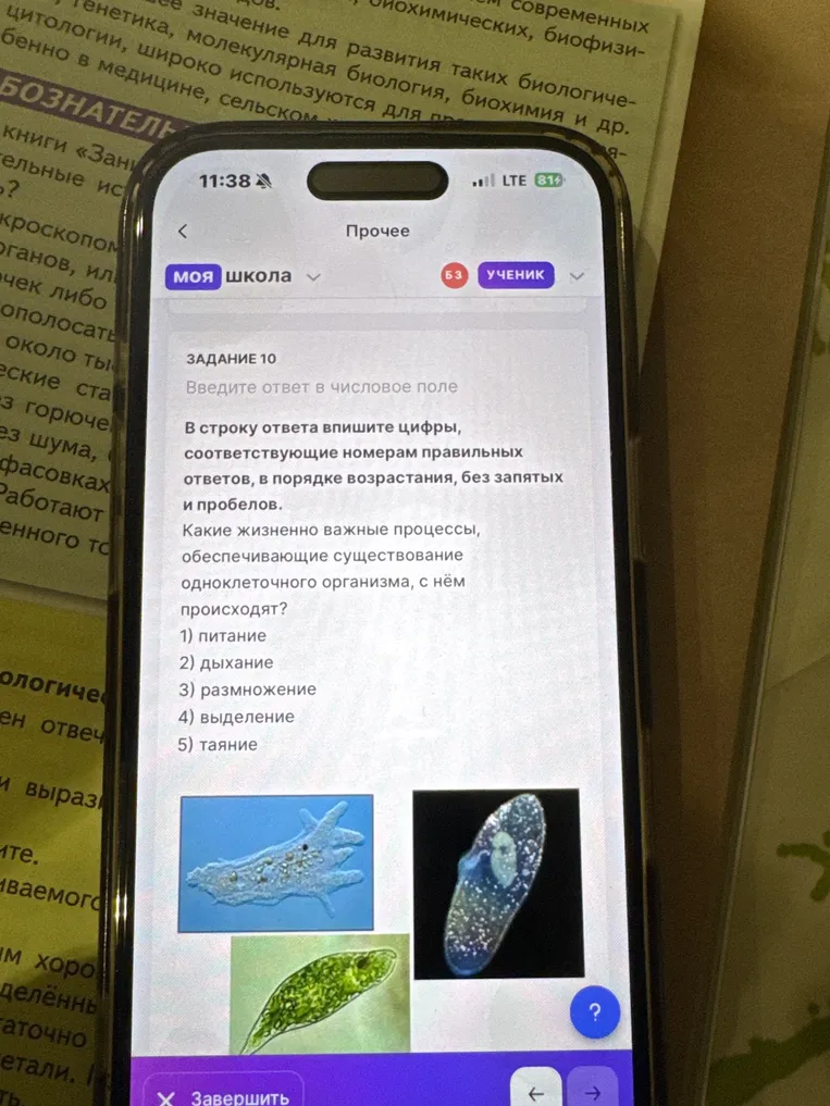 Какие жизненно важные процессы, обеспечивающие существование одноклеточного организма, с нём происходят?