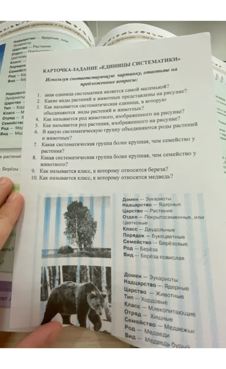 Карточка-задание «Единицы систематики» Используя соответствующую картинку, ответьте на предложенные вопросы: Какая единица систематики является самой маленькой?