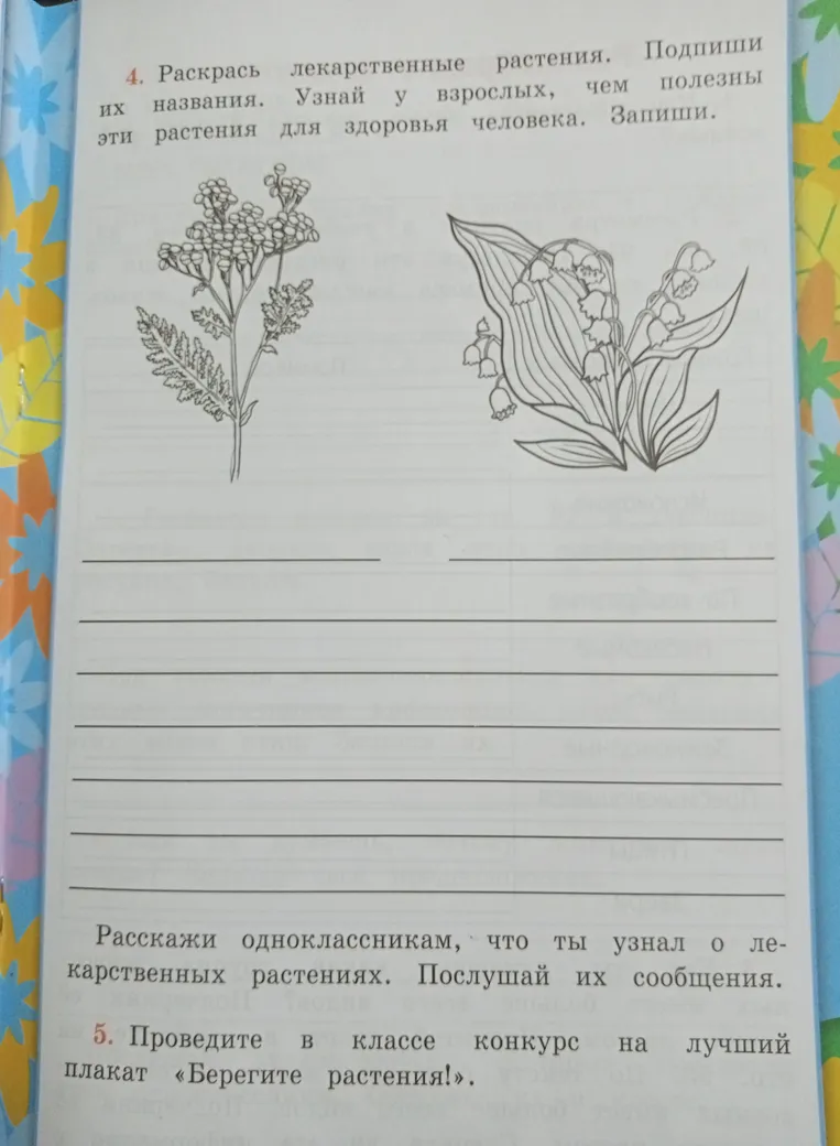 Раскрась лекарственные растения. Подпиши их названия. Узнай у взрослых, чем полезны эти растения для здоровья человека. Запиши.