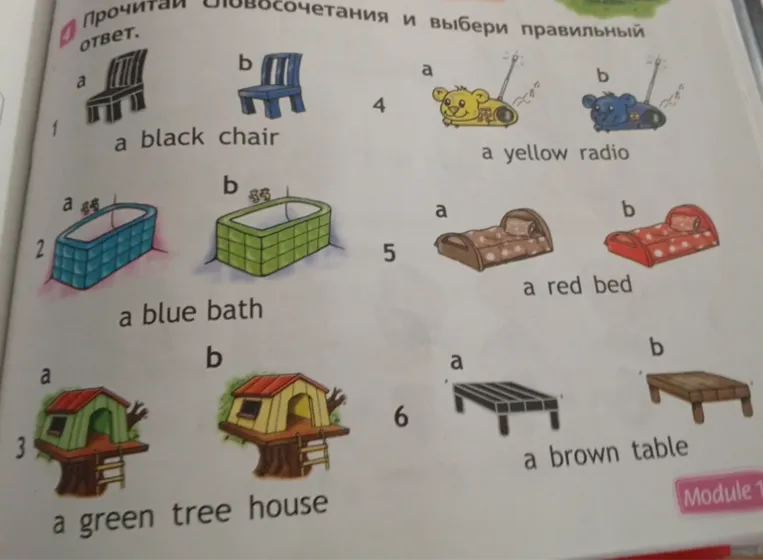 Прочитай словосочетания и выбери правильный ответ.