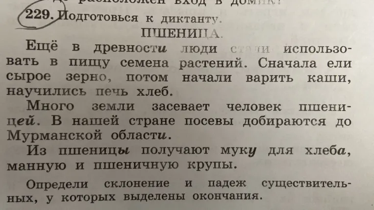 Определите склонение и падеж существительных, у которых выделены окончания
