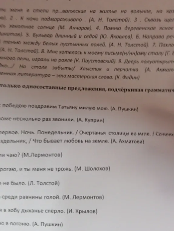 Выделите только односоставные предложения, подчёркивая грамматическую основу.
