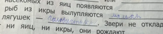 Дополнить предложение, заполнив пропуски: "насекомых из яиц ________ или рыб из икры вылупляются ________ лягушек - __________ . Звери не откладывают ни яиц, ни икры, они рождают ________."
