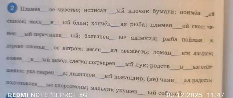Вставьте пропущенные буквы в словах и словосочетаниях.