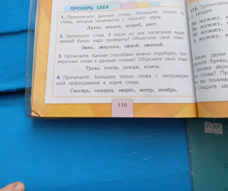 Произнесите данные слова. Запишите только те слова, которые начинаются с гласного звука: Дятел, иволга, ястреб, аист.