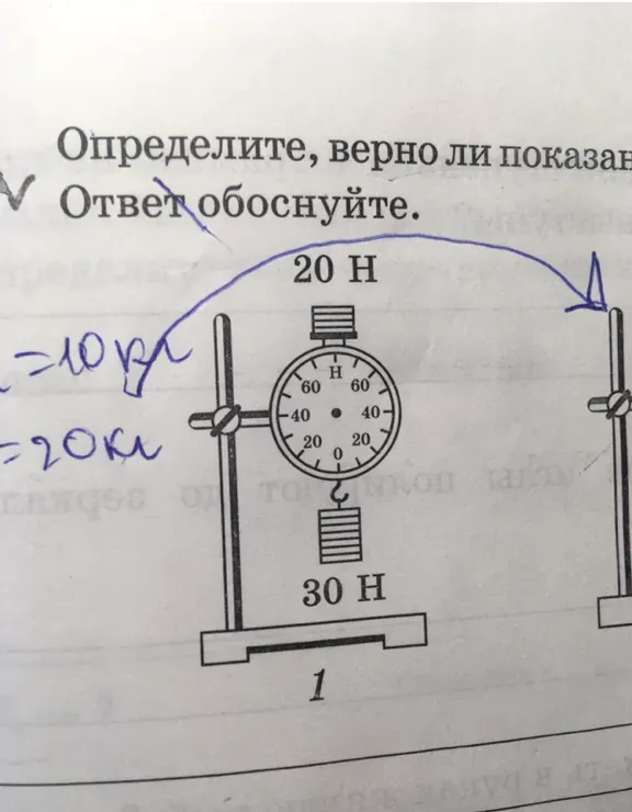 Определите, верно ли показание динамометра. Ответ обоснуйте.