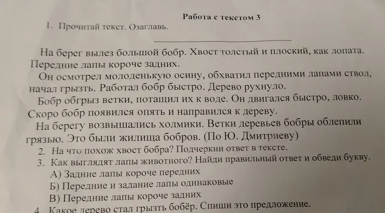 Прочитай текст. Озаглавь.