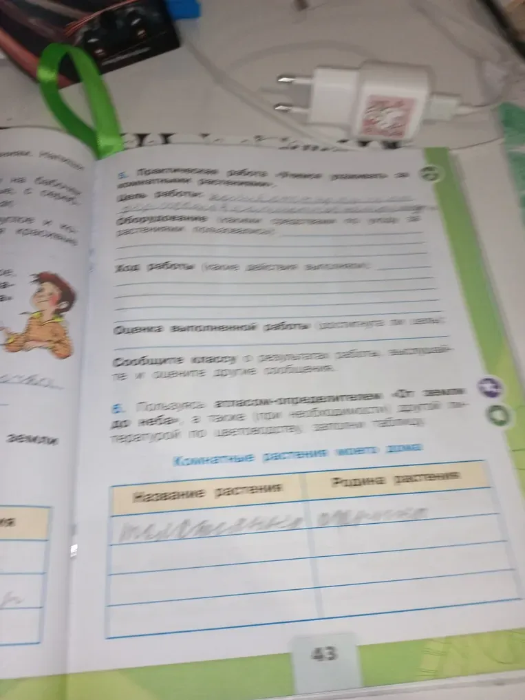 Заполни таблицу «Комнатные растения моего дома»