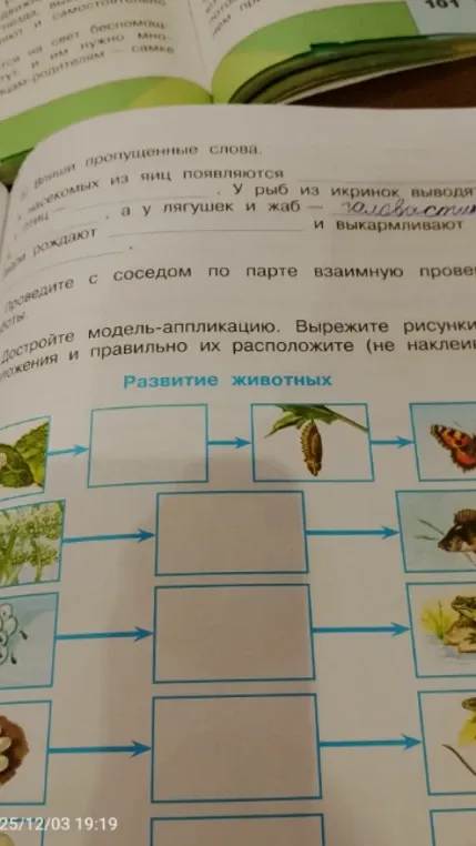 Заполните пропуски в тексте о развитии животных.