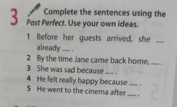 Complete the sentences using the Past Perfect. Use your own ideas.