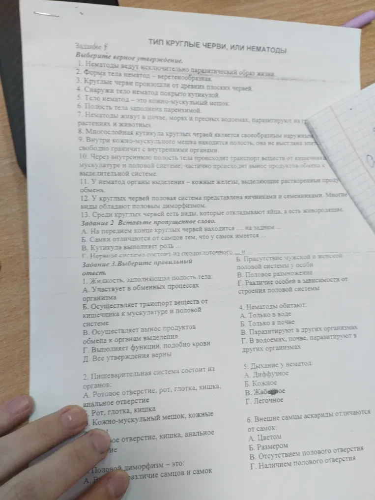 Выберите верное утверждение