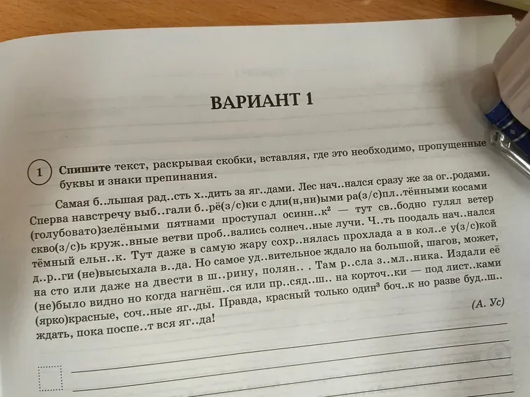Спишите текст, раскрывая скобки, вставляя, где это необходимо, пропущенные буквы и знаки препинания.