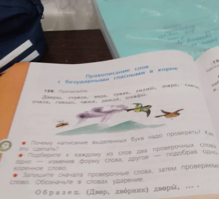 Прочитайте слова и выполните задания по правописанию безударных гласных в корне.