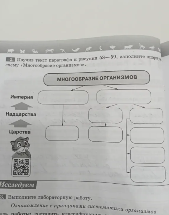 Изучив текст параграфа и рисунки 58-59, заполните опорную схему «Многообразие организмов».