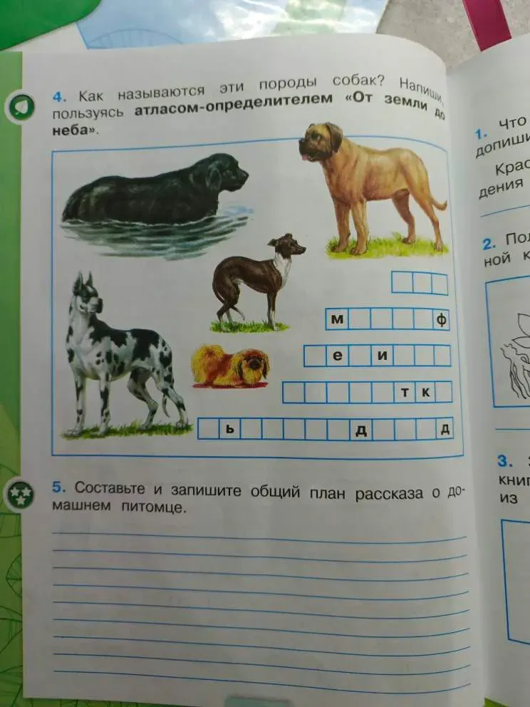 Как называются эти породы собак?