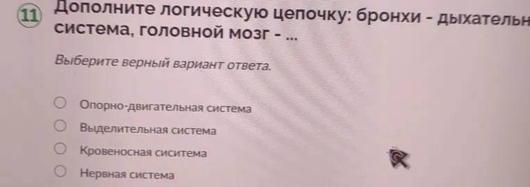 Дополните логическую цепочку: бронхи - дыхательная система, головной мозг - ...